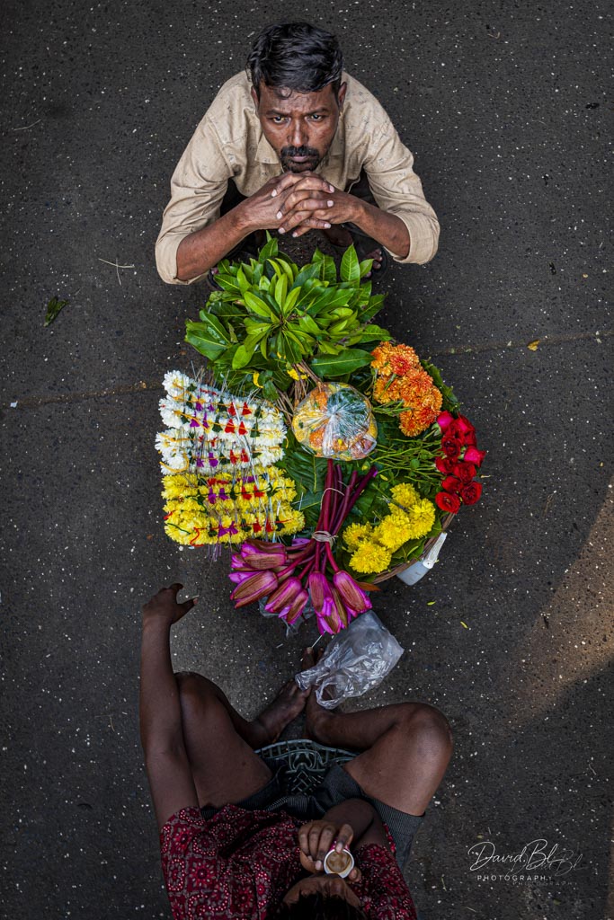 fleur et reflextion